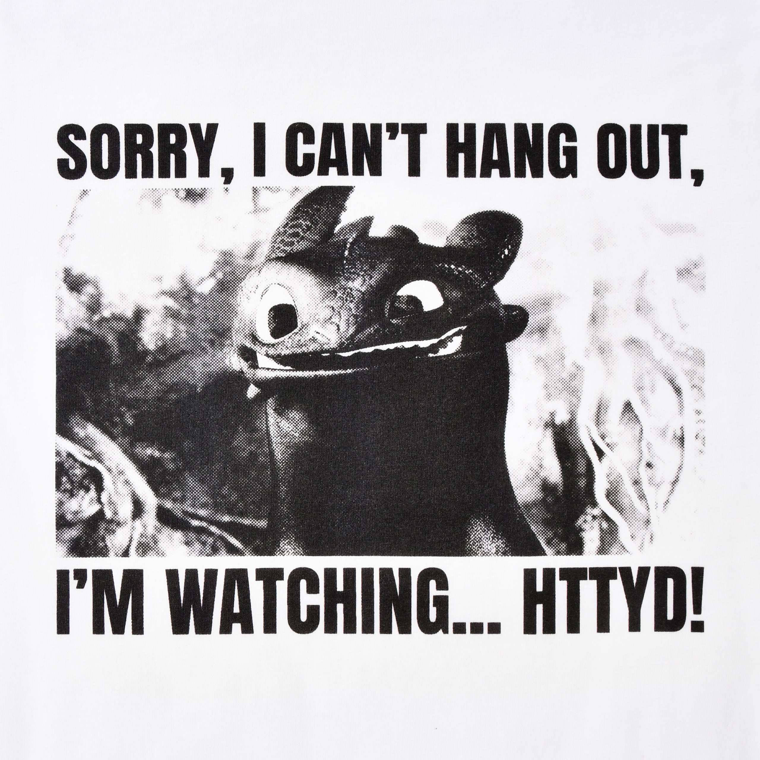 Product image Toothless Watching HTTYD T-Shirt - How to Train Your Dragon