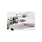Product image Ikaruga - Ginkei Model Kit Figure