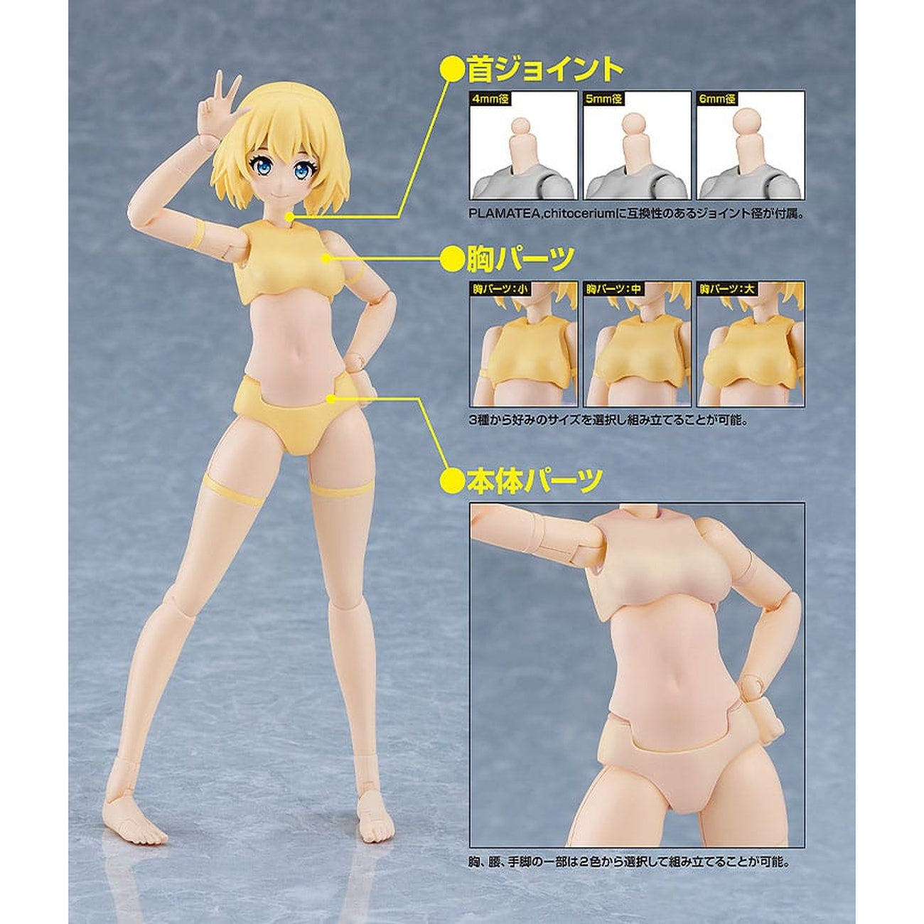 Product image PLAMATEA Model Kit - Muse Body: Ichika B Type