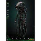 Product image Alien - Big Chap Masterpiece 1:6 Action Figure