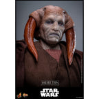 Product image Star Wars Episode III: Revenge of the Sith - Saesee Tiin Masterpiece 1:6 Scale Action Figure