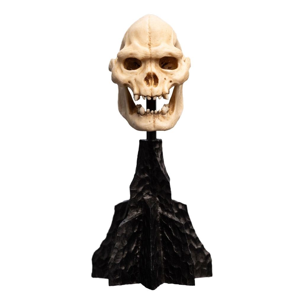 Product image The Lord of the Rings - Skull of Lurtz Mini Statue