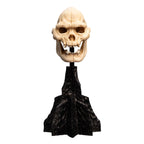 Product image The Lord of the Rings - Skull of Lurtz Mini Statue