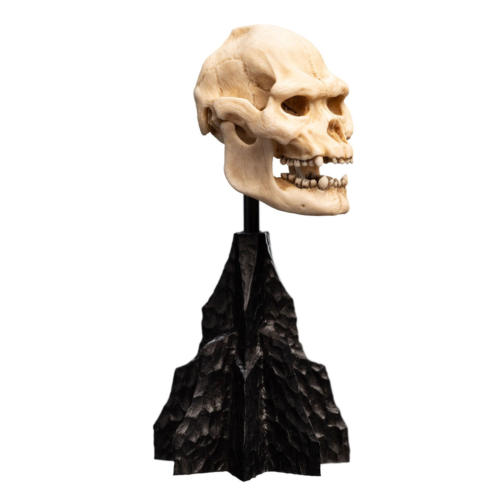 Product image The Lord of the Rings - Skull of Lurtz Mini Statue