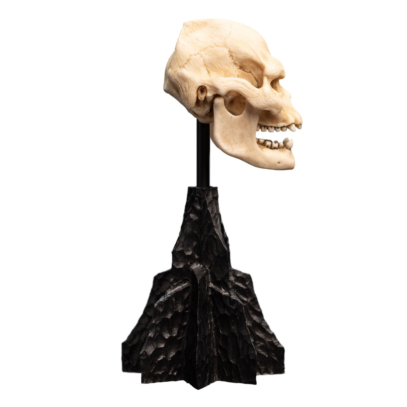 Product image The Lord of the Rings - Skull of Lurtz Mini Statue