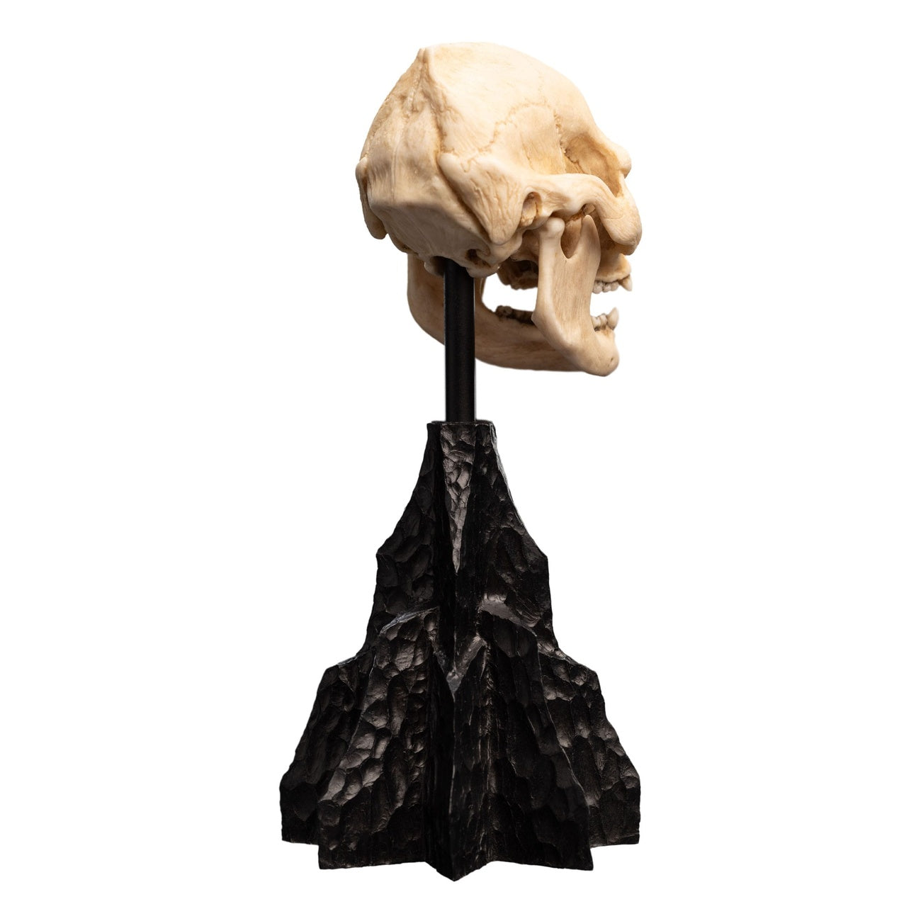Product image The Lord of the Rings - Skull of Lurtz Mini Statue