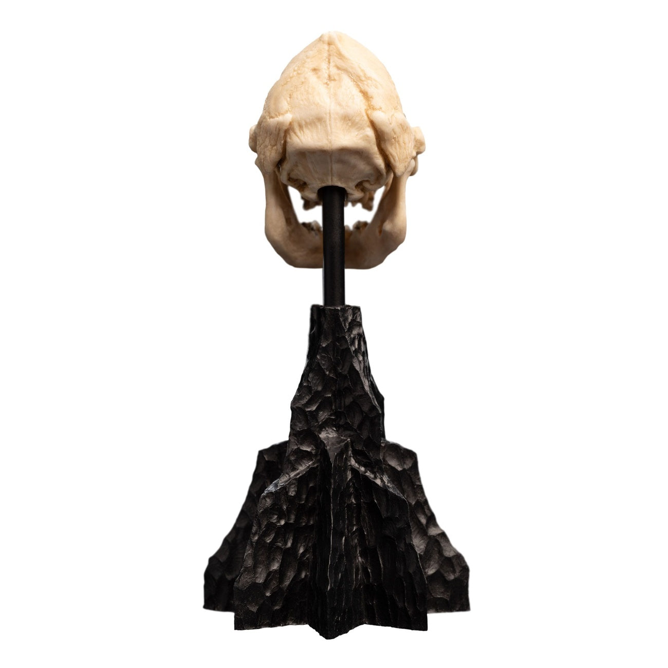 Product image The Lord of the Rings - Skull of Lurtz Mini Statue