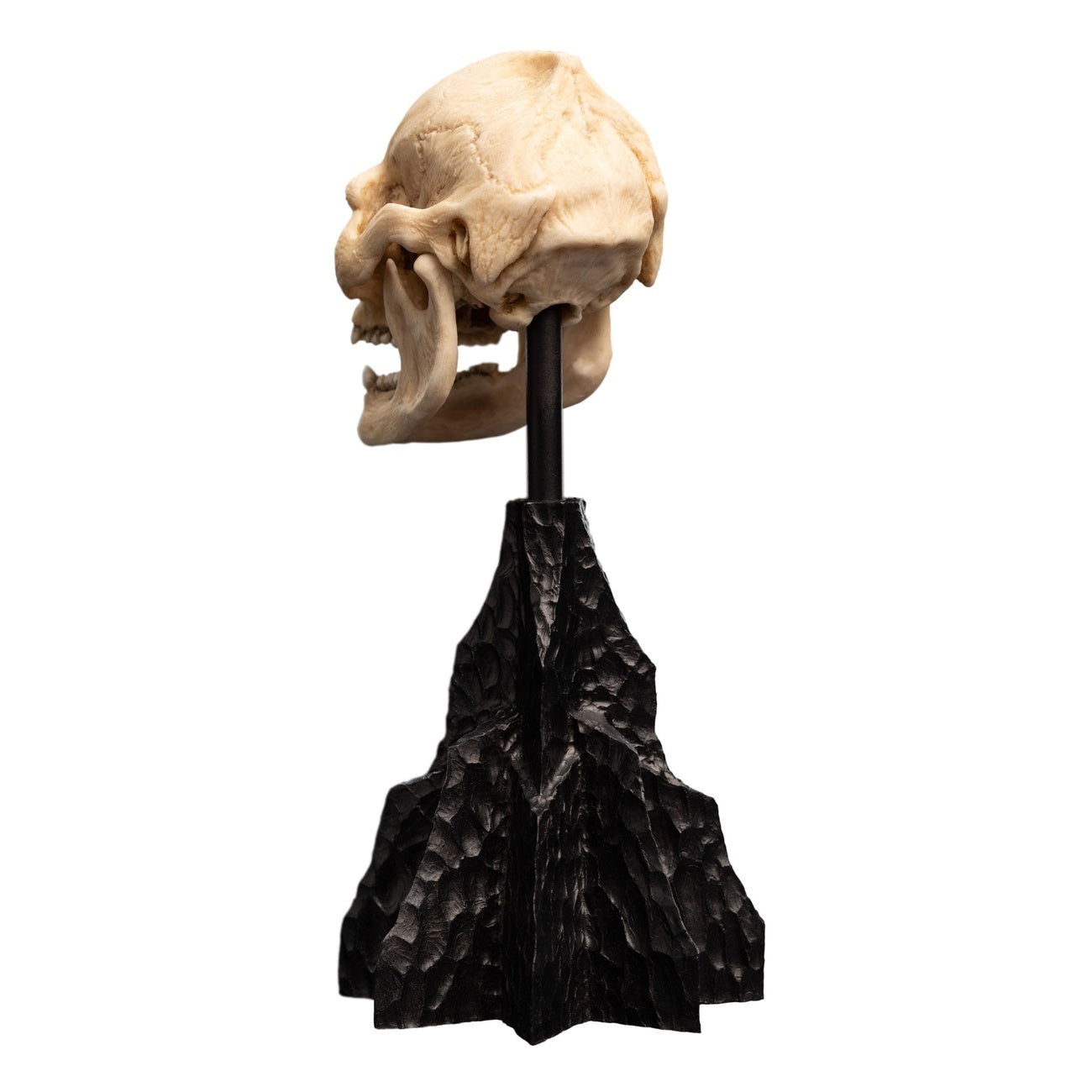 Product image The Lord of the Rings - Skull of Lurtz Mini Statue