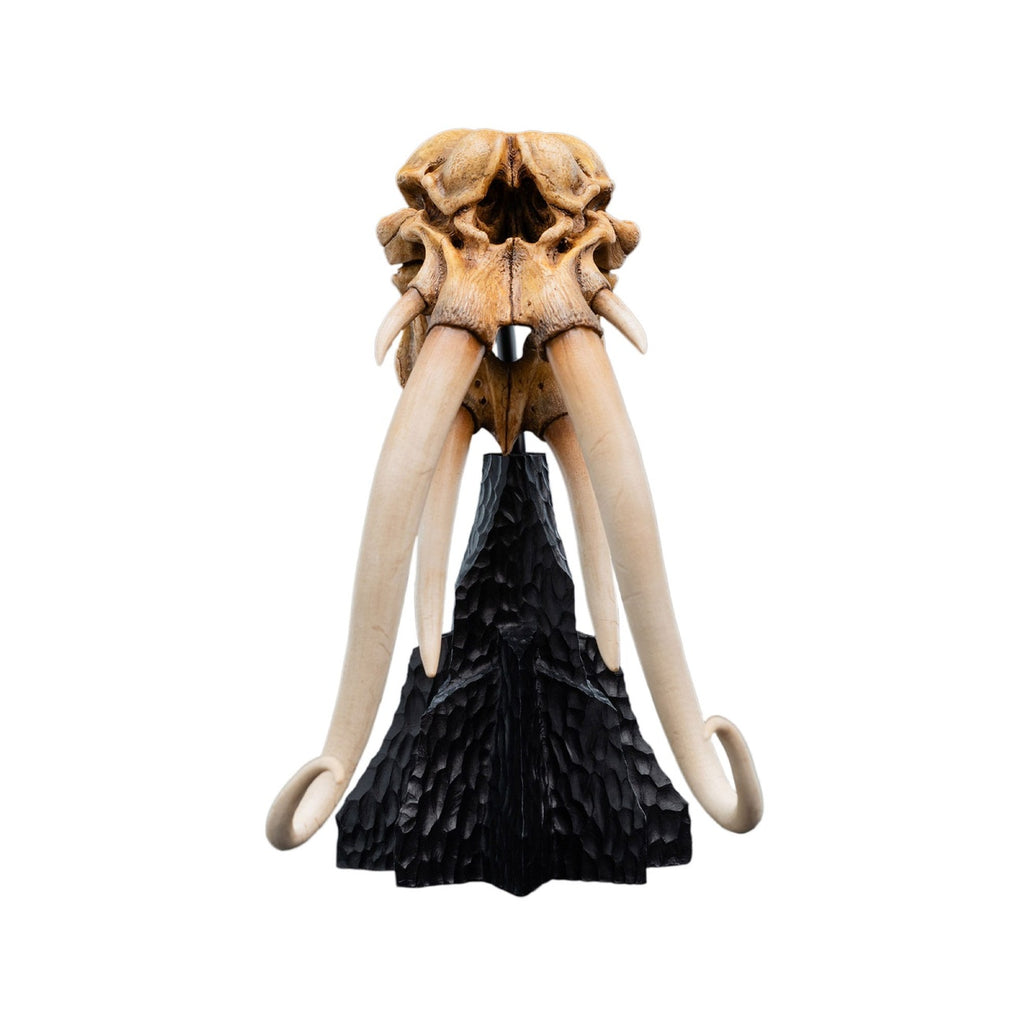 Product image The Lord of the Rings - Skull of a Mumak Mini Statue