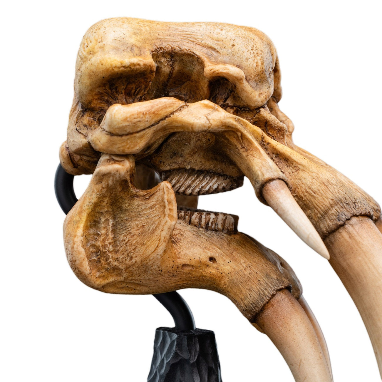 Product image The Lord of the Rings - Skull of a Mumak Mini Statue