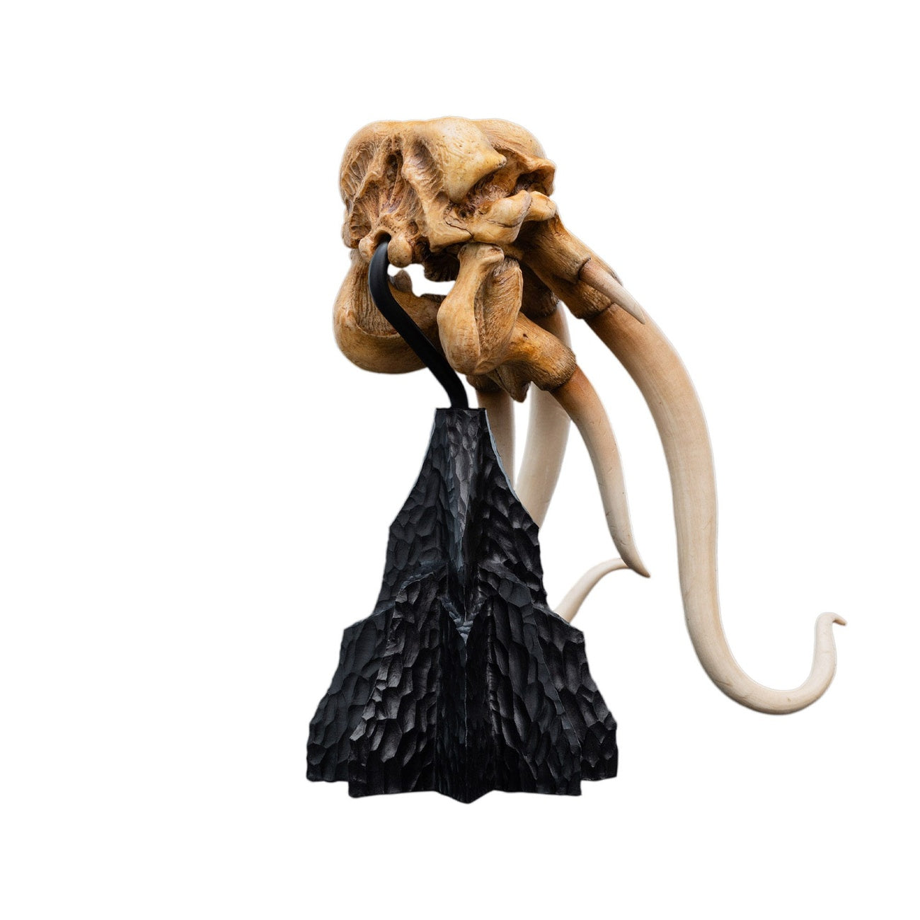 Product image The Lord of the Rings - Skull of a Mumak Mini Statue