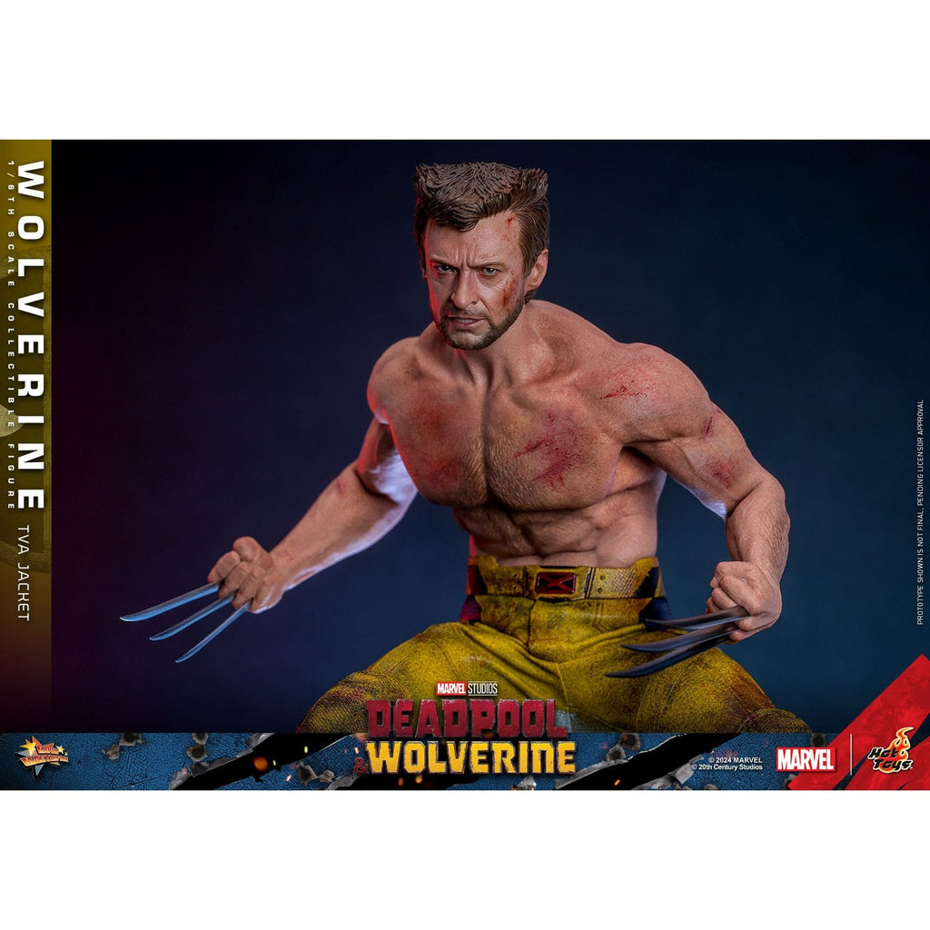 Product image Deadpool & Wolverine Movie Masterpiece Action Figure 1/6 Wolverine (TVA Jacket Version) 31 cm