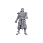 Product image D&D Nolzur's Marvelous Miniatures Unpainted Miniatures Jaheira & Halsin