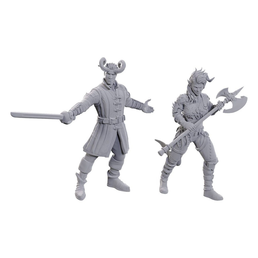 Product image D&D Nolzur's Marvelous Miniatures unpainted miniature Wyll & Karlach