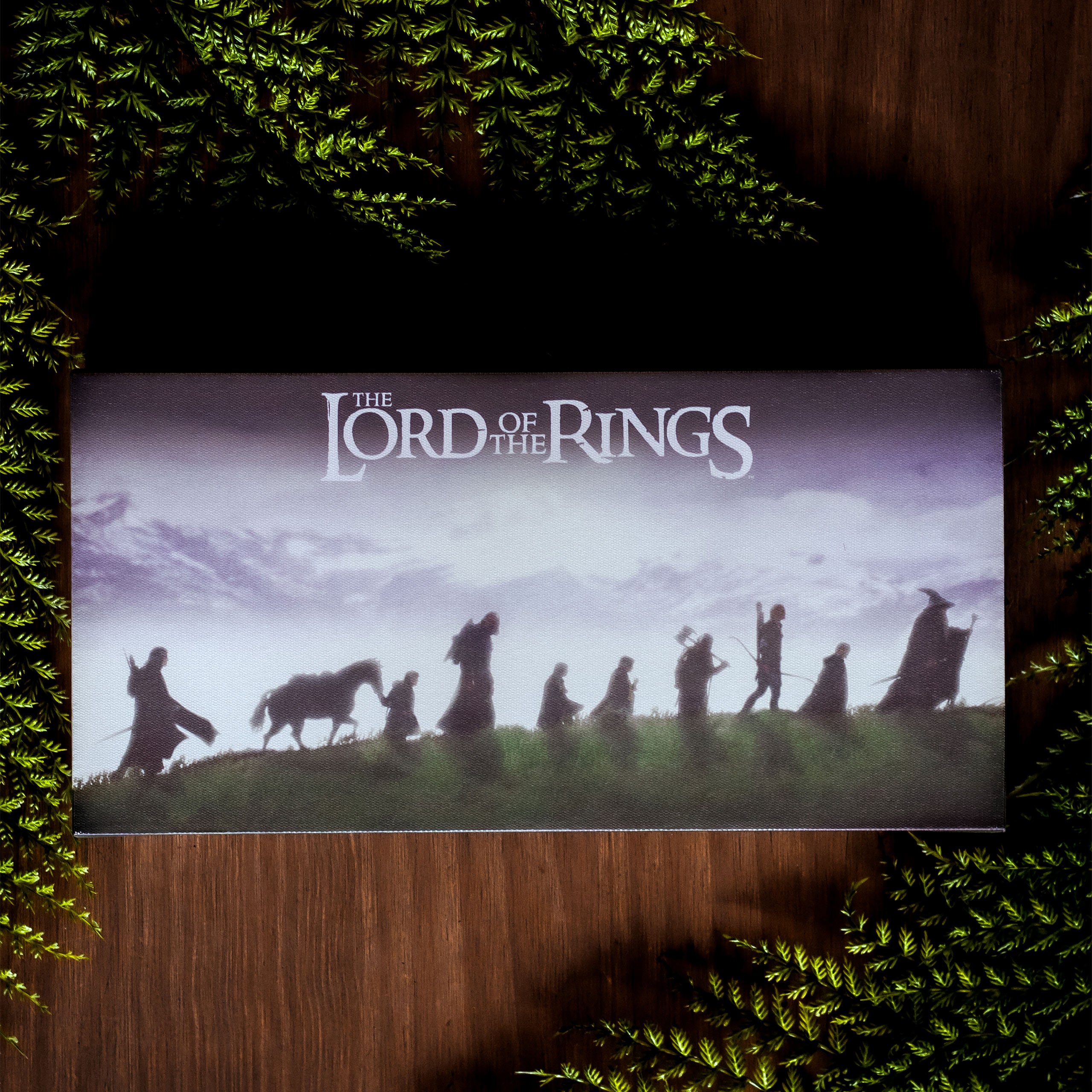 Product image The Lord of the Rings - The Fellowship Light-Up Wall Art