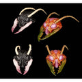 Product image Cosmic Character Pack Accessory Set for Action Figures – Sphexxian Helmets Set