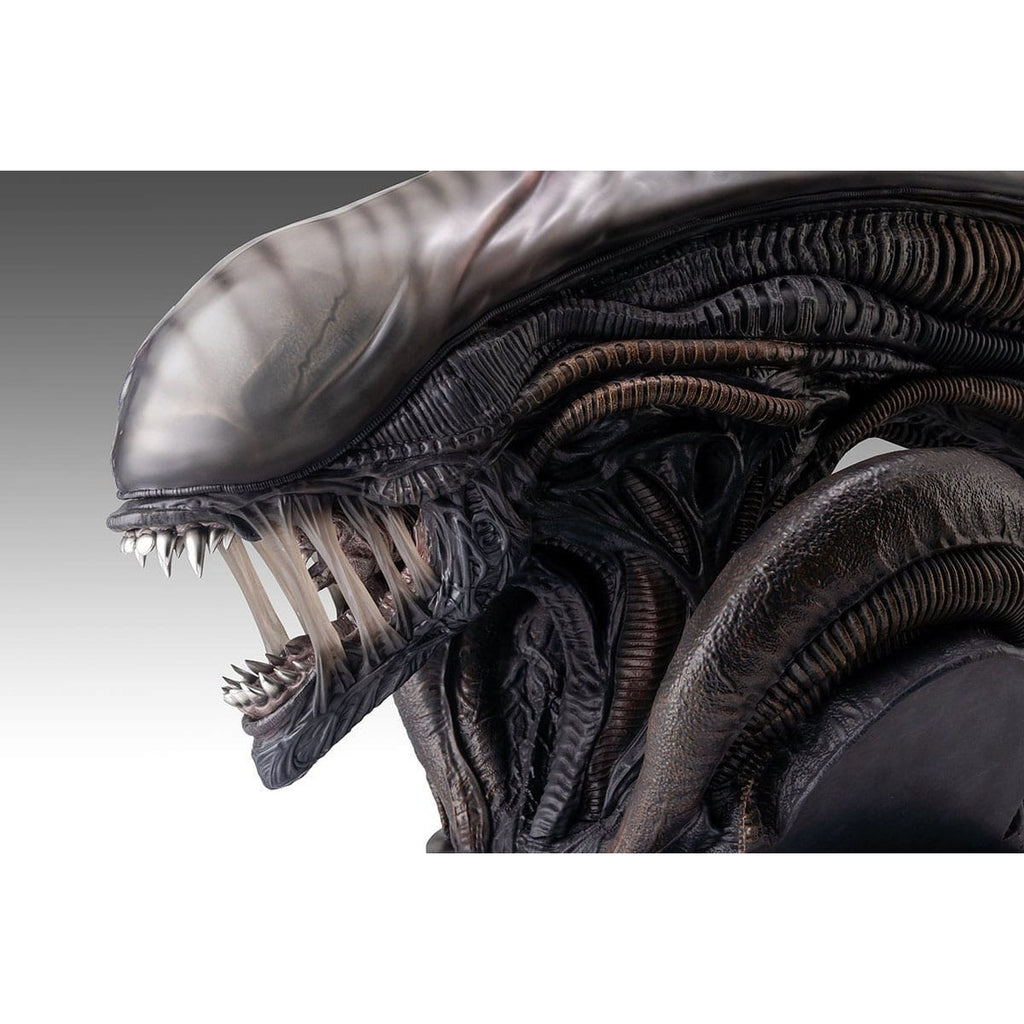 Product image Alien Romulus Bust 1/1 Xenomorph 53 cm