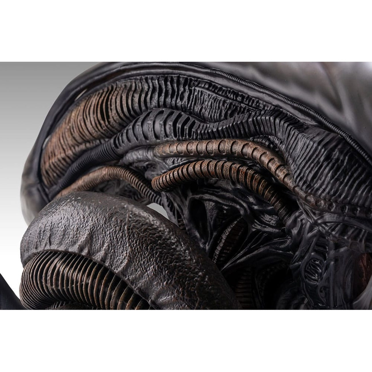 Product image Alien Romulus Bust 1/1 Xenomorph 53 cm