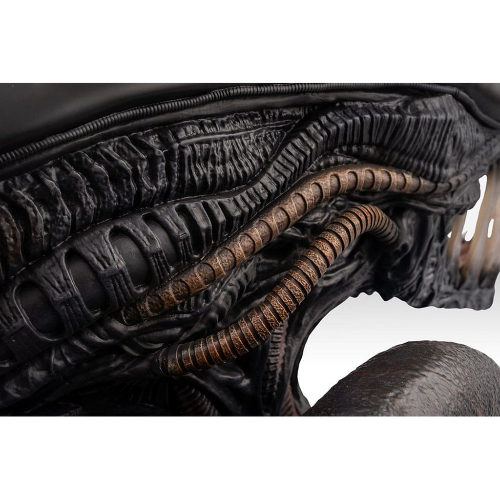 Product image Alien Romulus Bust 1/1 Xenomorph 53 cm