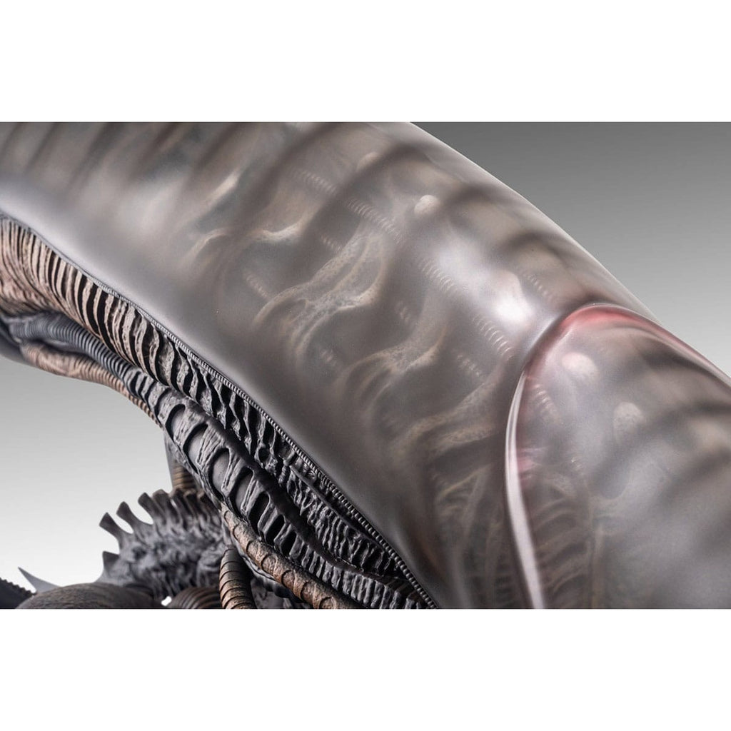 Product image Alien Romulus Bust 1/1 Xenomorph 53 cm