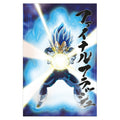 Product image Dragon Ball Super 3D Poster Survival Vegeta 38 x 58 cm