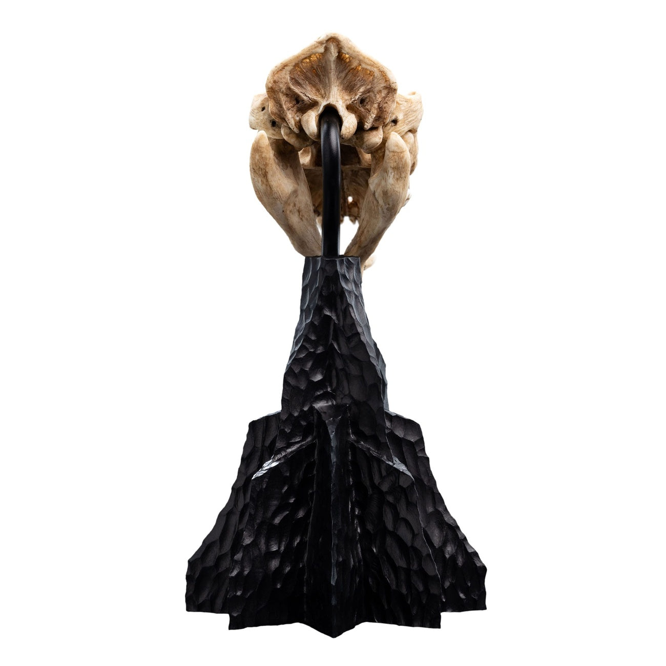 Product image The Lord of the Rings Mini Statue Skull of a Warg 20 cm