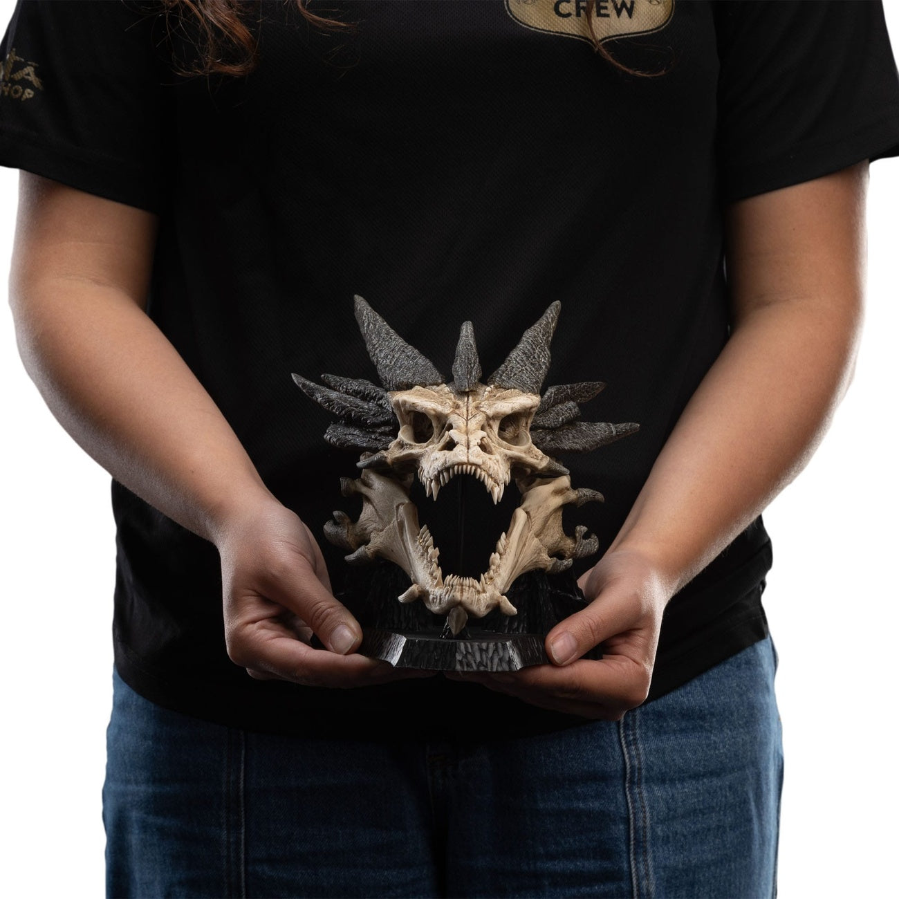 Product image The Lord of the Rings Mini Statue Skull of Smaug 22 cm