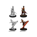 Product image D&D Nolzur's Marvelous Miniatures Unpainted Miniatures Male Half-Elf Monk Master Carton (6)