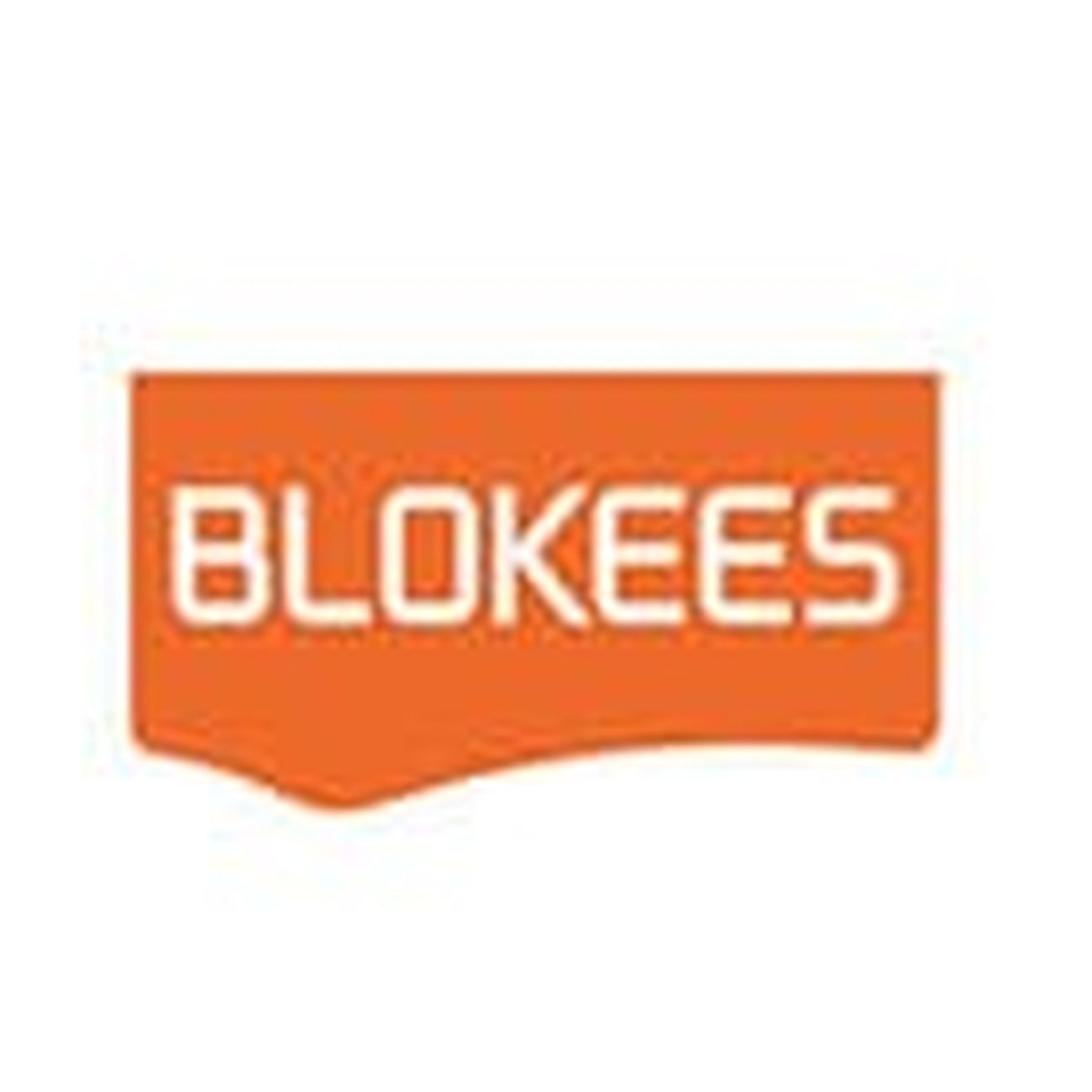 Product image Transformers Blokees Plastic Model Classic Class 13 Elita