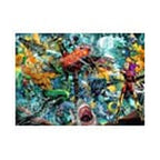 Product image DC Comics Puzzle Aquaman (1000 pieces)