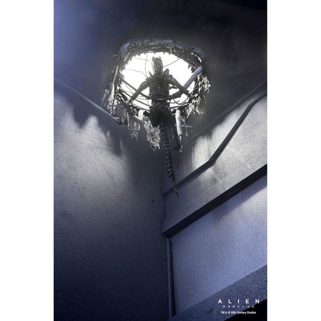 Product image Alien: Romulus Action Figure Deluxe Suspended Lab Xenomorph
