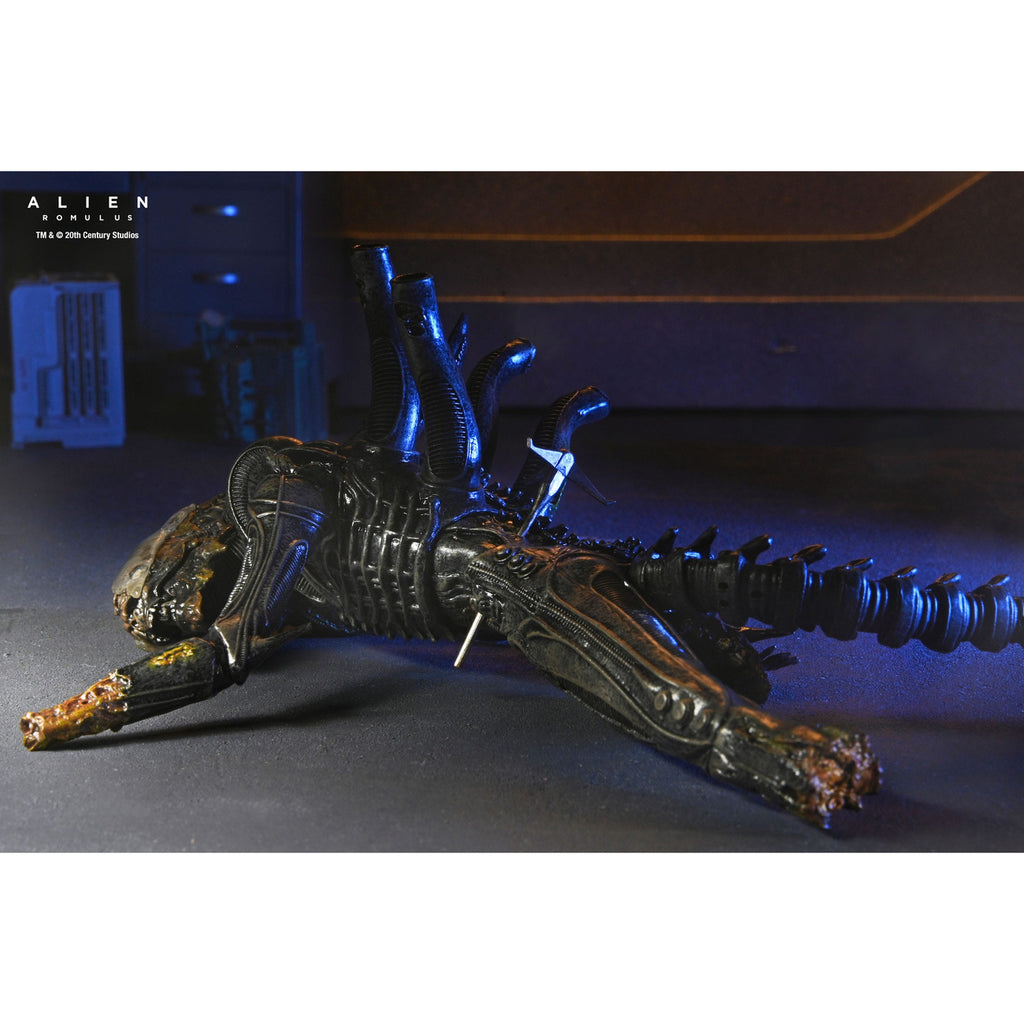 Product image Alien: Romulus Action Figure Deluxe Suspended Lab Xenomorph