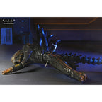 Product image Alien: Romulus Action Figure Deluxe Suspended Lab Xenomorph