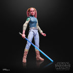 Product image Star Wars: Maul - Shadow Lord Black Series Action Figure